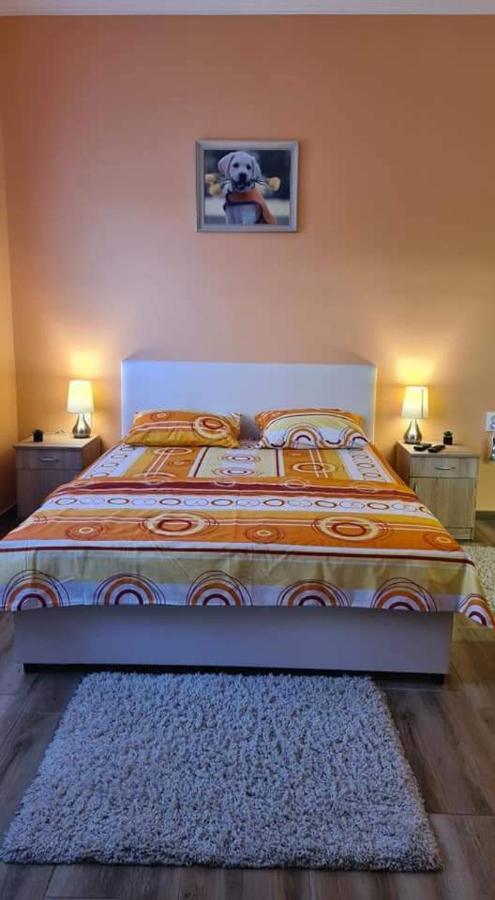 Ales Apartman Sombor Extérieur photo