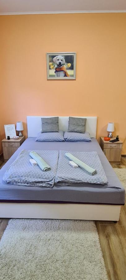 Ales Apartman Sombor Extérieur photo